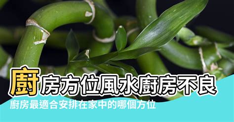 馬蜂窩風水|【房檐 風水】風水如何化解 